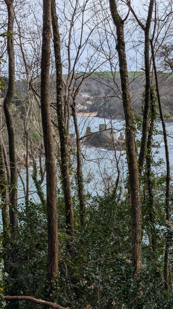 Salcombe castle: a Henrician gun tower where the Royalists held out against Parliamentarian forces 